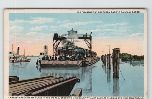 Postcard mastodon southern - postcard,