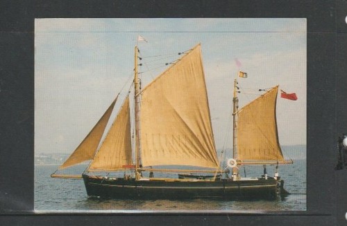 Postcard shamrock tamar - postcard, "shamrock"-tamar
