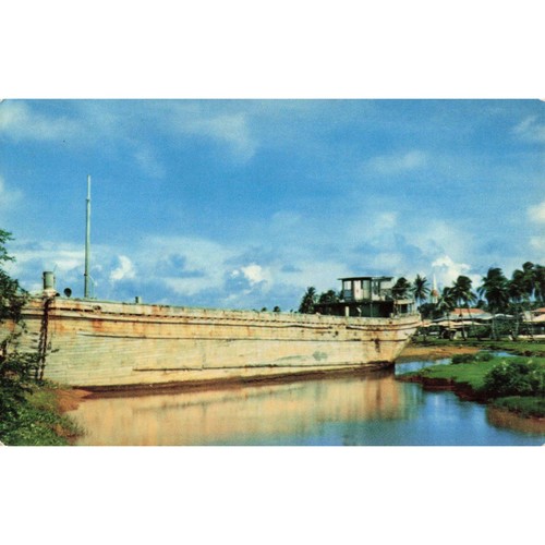 Vintage guam postcard noah - vintage,
