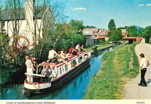 Picture postcard welshpool - picture, postcard::welshpool