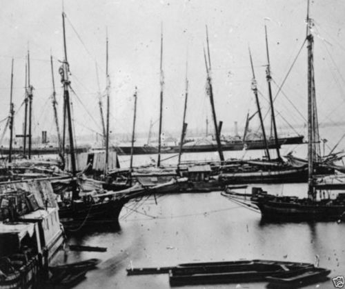 Federal barges transport - barges, ships