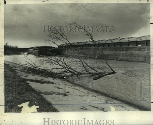 1974 press photo - photo, scene