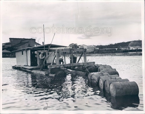 1951 press photo - press, shelton