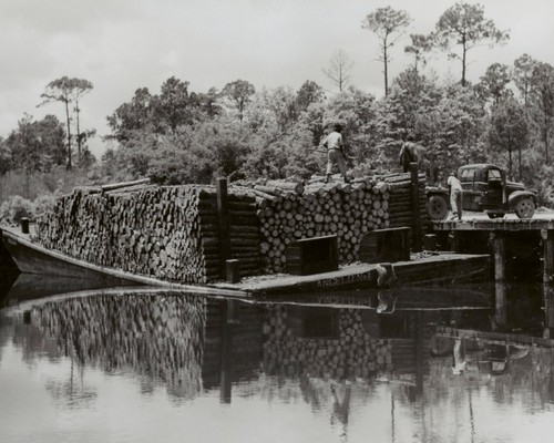 Pulpwood barge bluff creek - pulpwood,