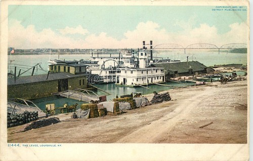 Phostint postcard 11444 the - postcard,
