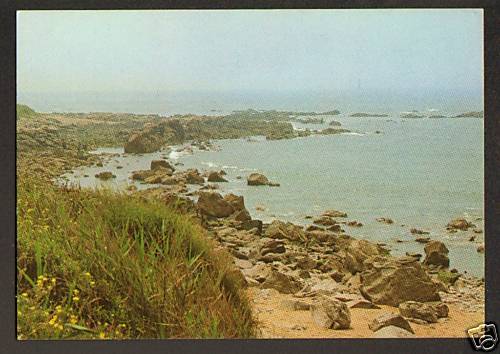 Chaume cote sauvage - la,